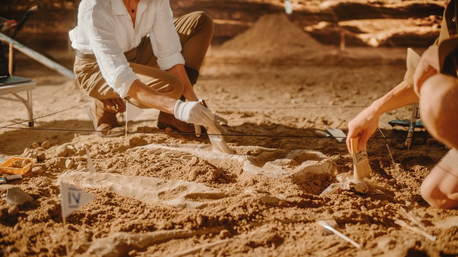 Jak wygląda praca archeologa od kuchni