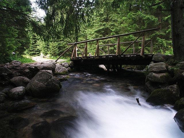 Galeria Polska - Tatry, obrazek 23