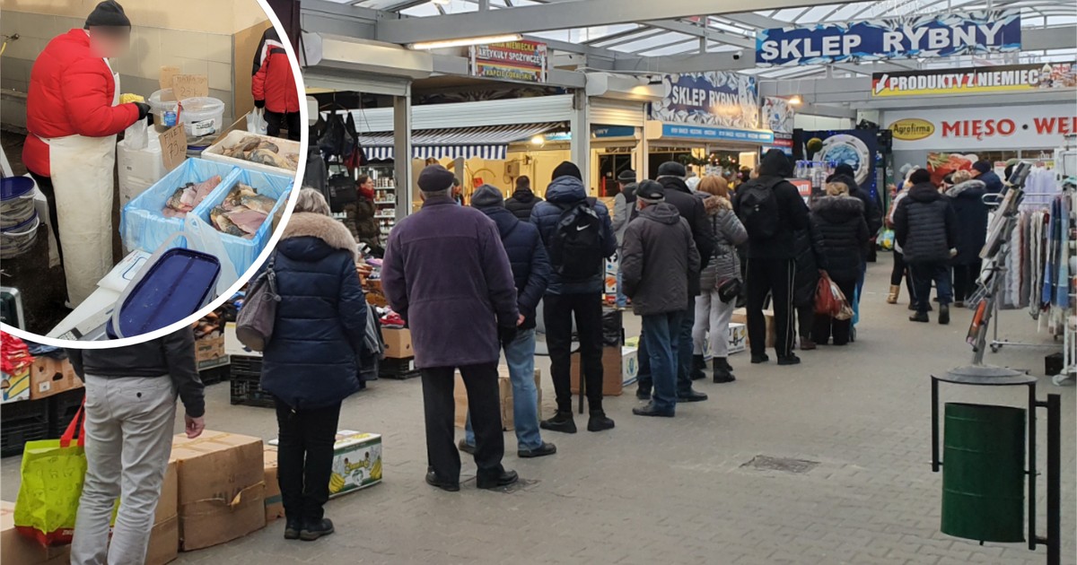 Karp na Wigilię 2026 będzie droższy? Ekspert podał nowe ceny