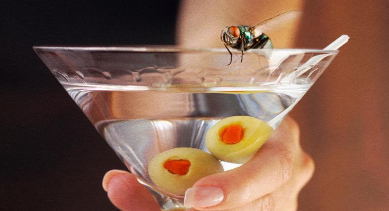 Fruit flies drink alcohol after sexual advances are turned [arstechnica]