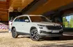 2023 Skoda Kodiaq 1.5 TSI