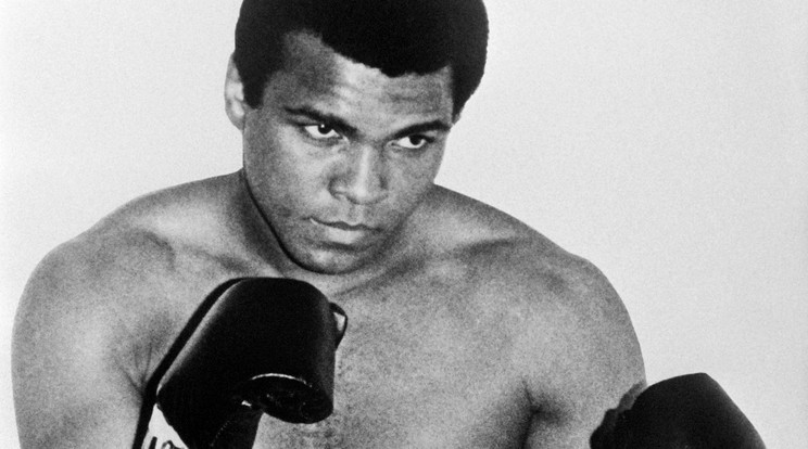 Muhammad Ali 74 éves volt /Fotó: AFP