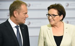 TVP Info: Tusk i Kopacz wiedzieli o kradzieży VAT, ale nic nie zrobili