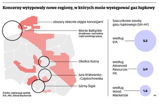 Energetyczni giganci będą wiercić, bo potrzebują gazu łupkowego