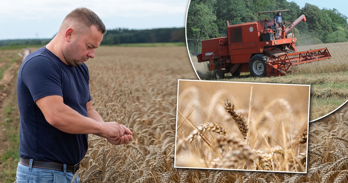 Wśród polskich rolników znów wrze. Mają kolejne zmartwienie