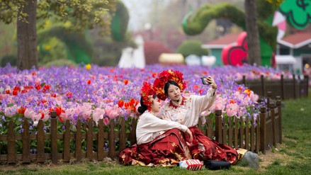 Megdöbbentő, de már a
holland tulipán is Made in China