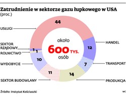 Gaz łupkowy: Uruchomienie wydobycia gazu z łupków ożywi rynek