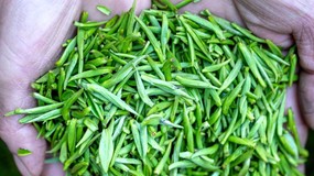 Pij 2-3 szklanki dziennie. Pomoże zbić wysoki cukier