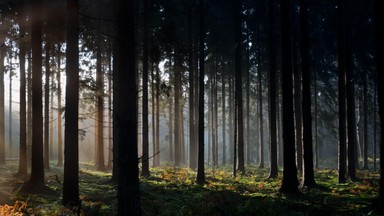 Przesąd na 26 września. Nie rób tego, bo możesz spotkać złe duchy