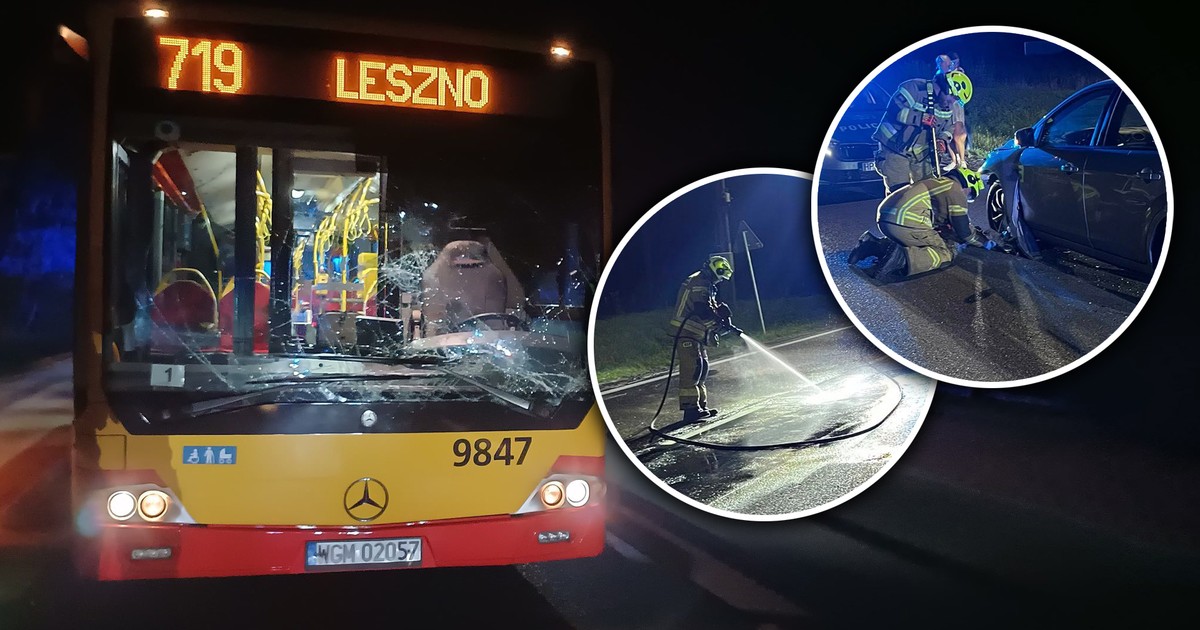 Koszmar na drodze! Jeleń wtargnął pod autobus i osobówkę
