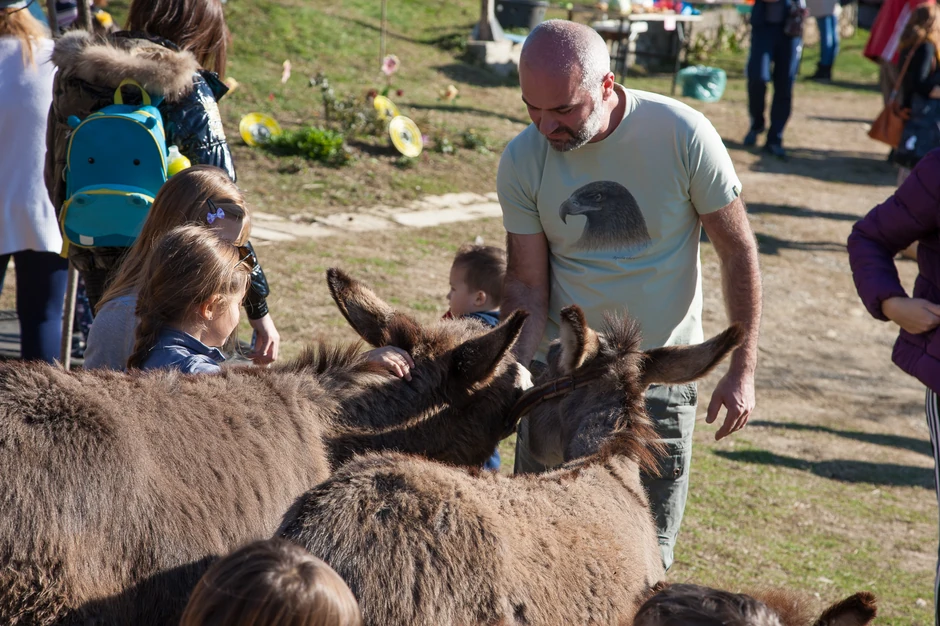 Darko Saveljić, vlasnik farme magaraca Martinići