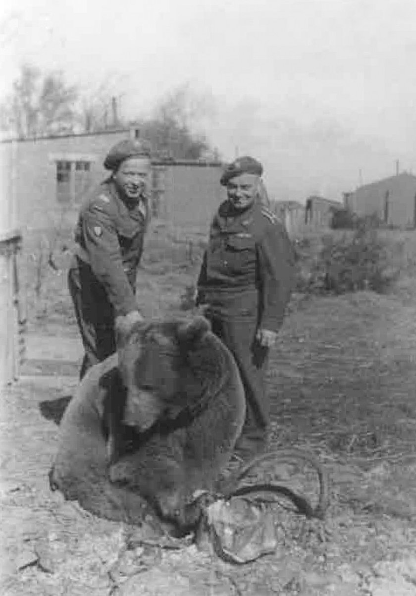 Niedźwiedź Wojtek będzie miał swój pomnik?