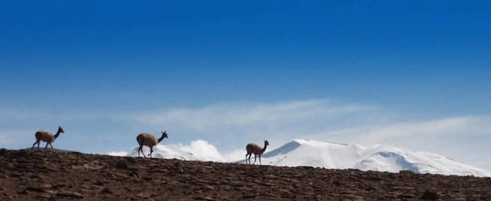 Atacama