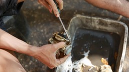 niezwykłe odkrycie w słupsku. unikatowa maszyna do palenia kawy sprzed wojny