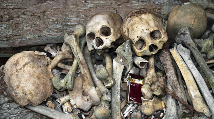 A csontok a II. világháborúban elesettek maradványai (illusztráció) / Fotó: Northfoto