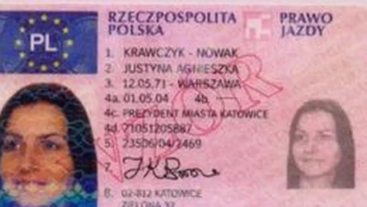 Prawo jazdy: rządowy projekt stał się faktem