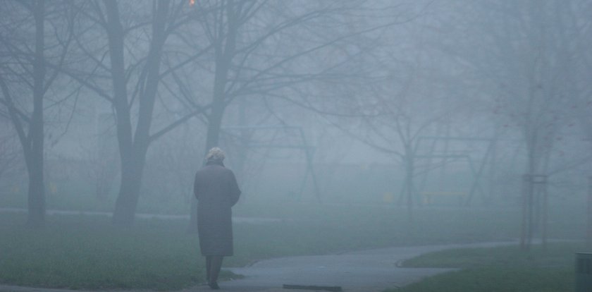 Alerty dla sześciu województw. Niebezpieczne zjawisko da się we znaki kierowcom