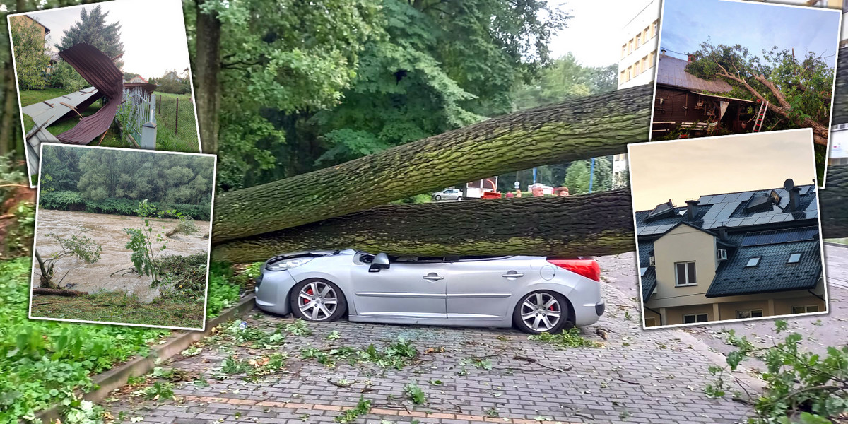 Niszczycielskie nawałnice w Polsce. Wiatr łamał drzewa jak zapałki. Są ranni.
