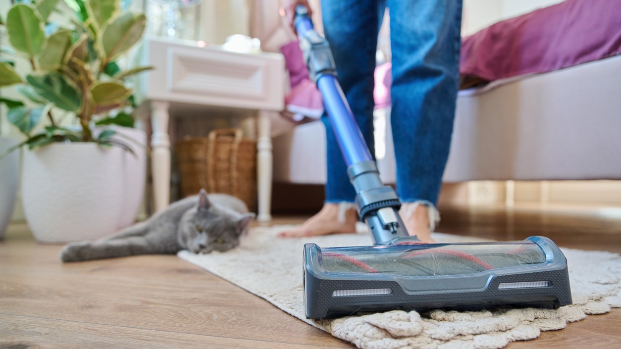 Vysávanie koberca. (Ilustračná fotografia)