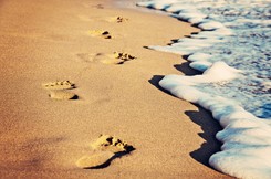 Kiedy zbliża się policja, podrywają się z ręczników i udają ćwiczenia. Tak to wygląda w USA