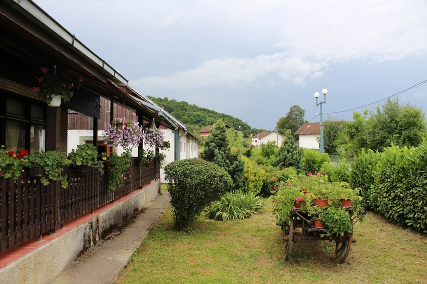 Zadruga Donji Agići