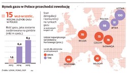 Rynek gazu w Polsce: Konkurenci PGNiG już nadciągają