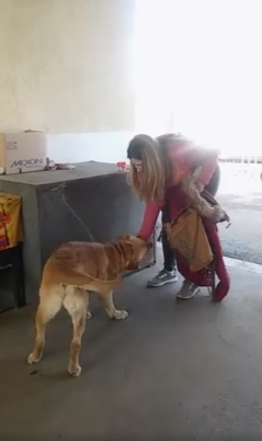 Ivana i Cezar ponovo zajedno