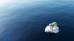 nie mów im, co mają robić. wywiad z noblistą o narracjach w nauce.