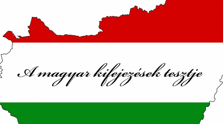 A magyar kifejezések tesztje /Az illusztráció alapja: Northfoto