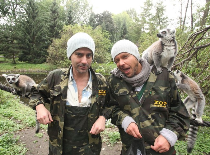 Gwiazdy w żenujących programach. Po co to robią?