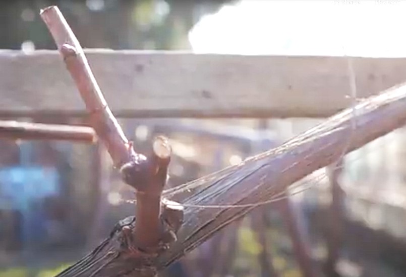 Zimowe cięcie winorośli