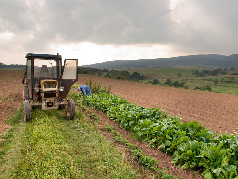 Rolnicy gospodarujący na powierzchni użytków rolnych poniżej 75 ha nie podlegają wpisowi do rejestru