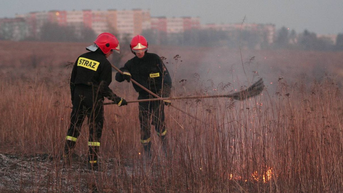 Ponad 800 pożarów traw od początku roku ugasili strażacy w województwie kujawsko-pomorskim. Dziś w czasie wypalania łąki zginął mieszkaniec Chocenia k. Włocławka.