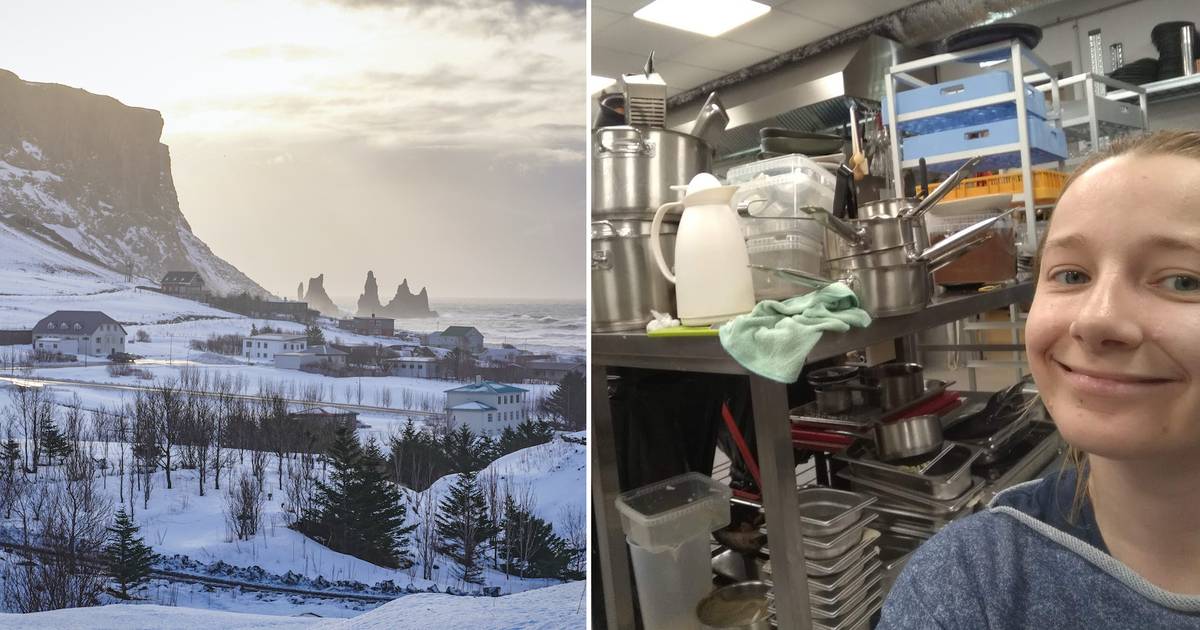 Polka o świętach na Islandii: tu jada się sfermentowaną płaszczkę