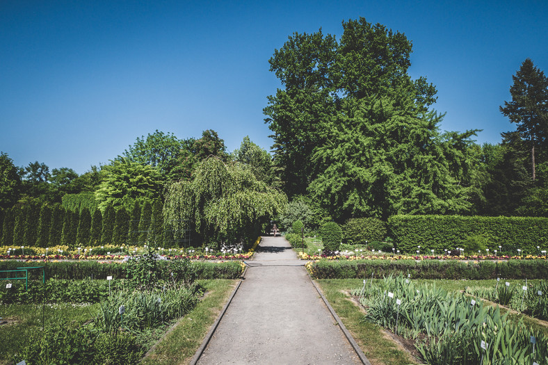 Ogród Botaniczny Kraków