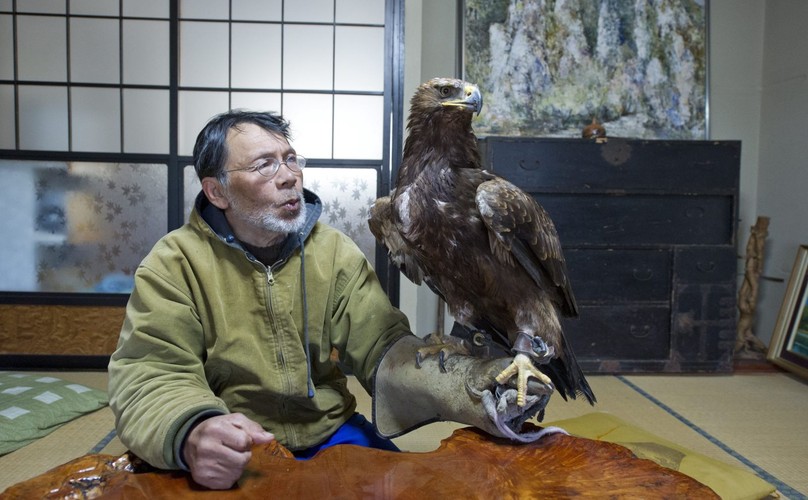 Hidetoshi Matsubara. Ostatni sokolnik w Japonii