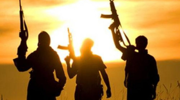 Németország figyelmeztet az Europába visszatérő dzsihadisták egyre növekvő számára