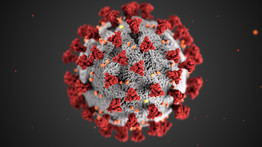 Koronavírus: nyolcezren haltak meg az elmúlt napon