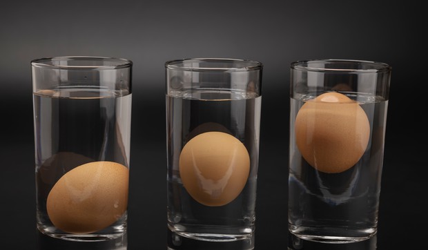 Testiranje svežine i kvaliteta jaja 