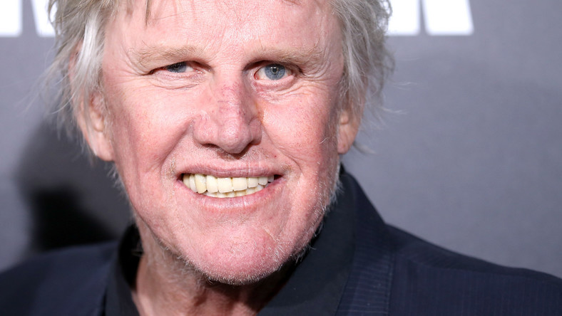 Next photo of Gary Busey