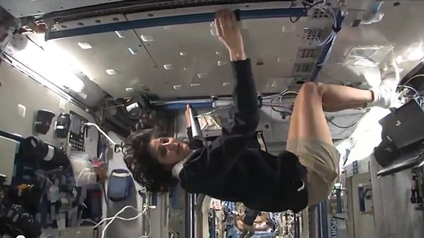 Prostor, koji je na prvi pogled prilično skučen, zbog mogućnosti kretanja u tri dimenzije istovremeno deluje maltene prostrano