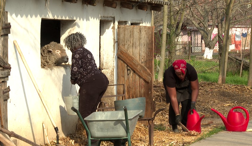 Priča o Iris i Bojanu Kanji