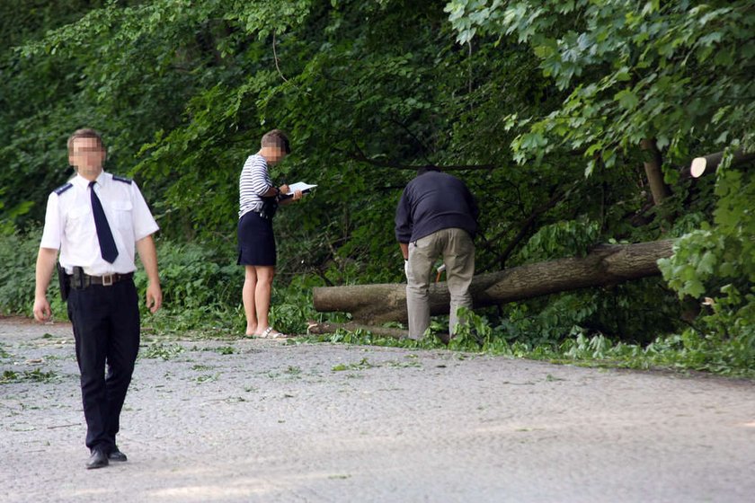 Wypadek w Ojcowskim Parku Narodowym