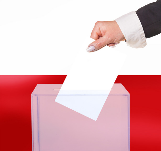 Wybory do Sejmu: Wszystko, co powinieneś wiedzieć jako wyborca