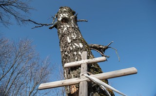 Premier: Wrak tu154M już dawno powinien być w Polsce