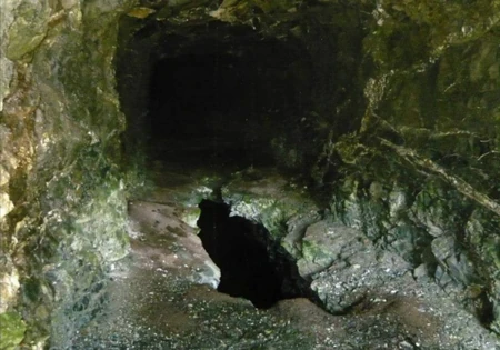 Tunel u selu