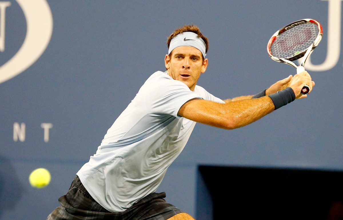 Del Potro wygrał turniej w Tokio. W finale pokonał Raonica
