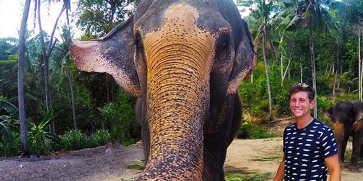 słoń selfi zdjęcie tajlandia