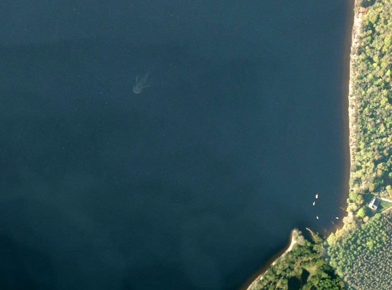 Potwór z Loch Ness sfotografowany przez satelitę? (fot. Apple Maps)