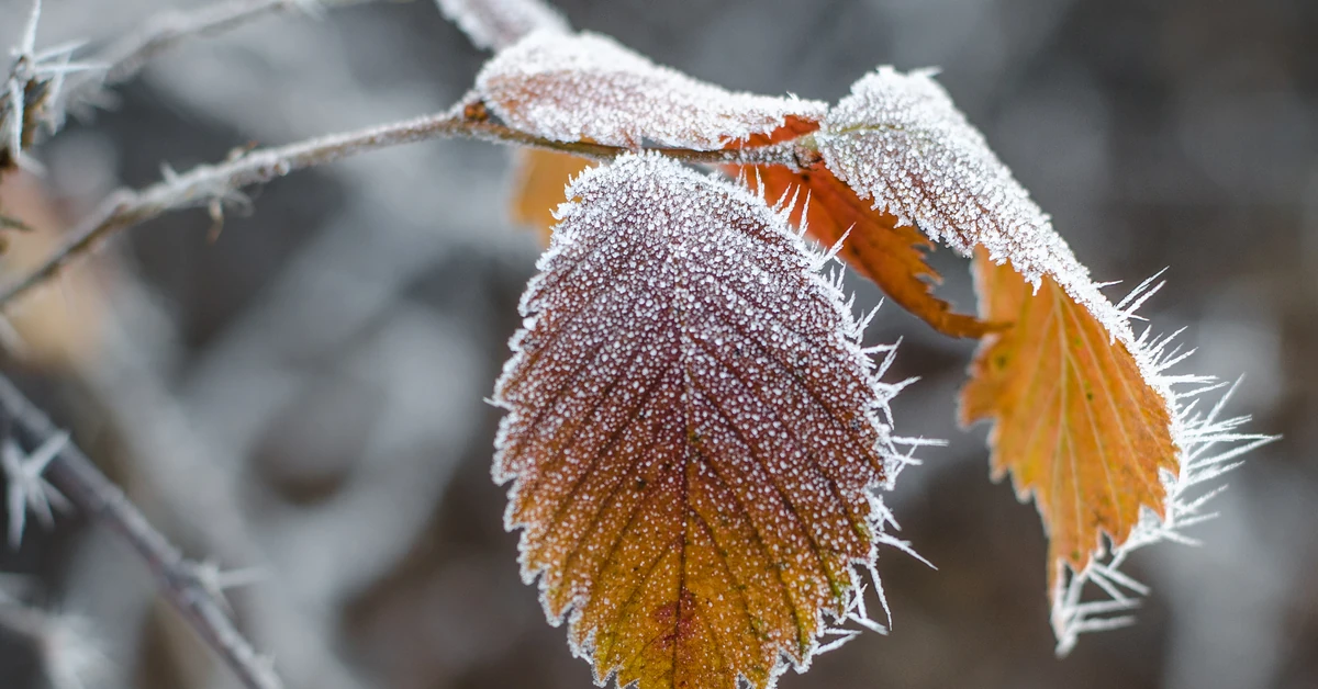 Uwaga na przymrozki. Prognoza pogody na wtorek, 30 września